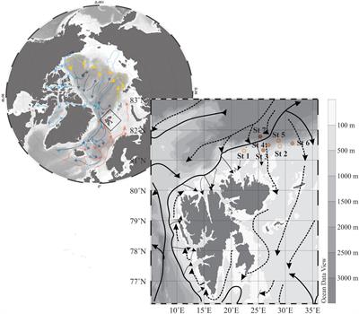 Planktic Foraminiferal and Pteropod Contributions to Carbon Dynamics in the Arctic Ocean (North Svalbard Margin)